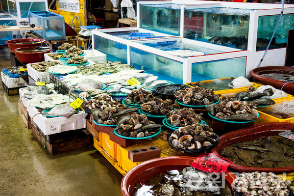 우리나라는 일본에서 가리비, 조개, 방어, 돔, 우렁쉥이, 명태, 가오리, 홍어 등을 수입 중이나, 작년 한 해 원산지 미표시 수산물은 294건, 거짓표시는 187건이었고, 그중 일본산은 각각 39건, 34건으로 높은 수치를 기록하고 있다.