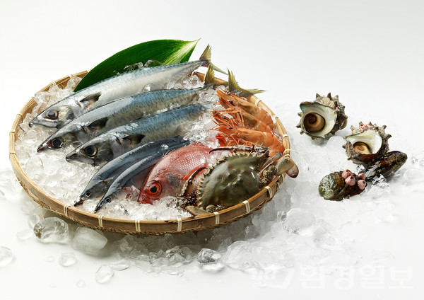 현재 일본 정부는 후쿠시마 핵사고가 완전히 통제되고 있고, 방사성 오염수와 식품에서의 방사성 물질을 완벽하게 관리하고 있다고 주장하지만 실체는 그렇지 못해 대한민국 국민들의 우려의 목소리가 높다.