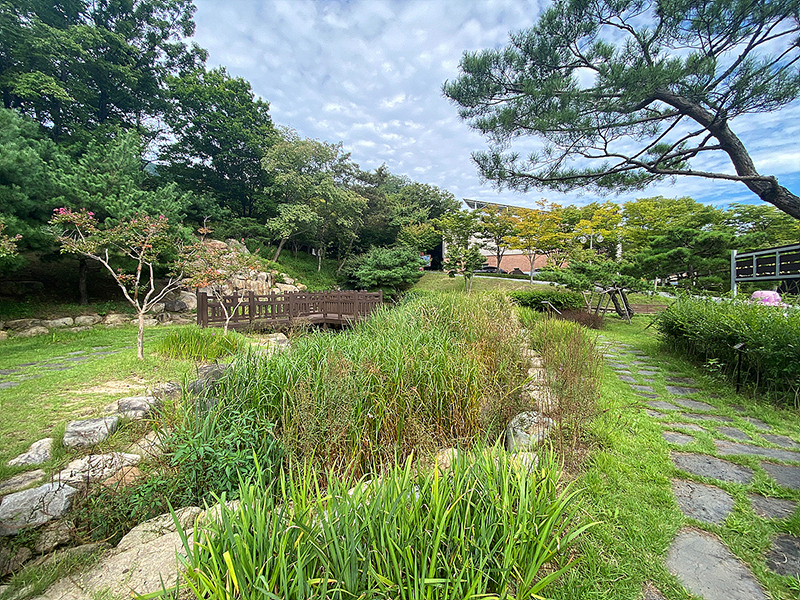 팔공산 자생식물원 /사진제공=대구시