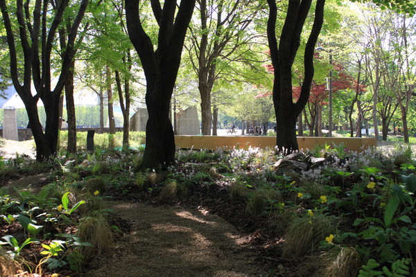 ‘광야숲’은 서울숲을 찾는 시민들을 위한 공원 환경 개선 효과는 물론, 다수의 나무를 식재함으로써 탄소배출 저감, 도시 생명 다양성 증진 등 지구환경 보호 효과에도 기여할 것으로 기대된다. /사진=서울시