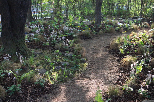 ‘광야숲’은 서울숲을 찾는 시민들을 위한 공원 환경 개선 효과는 물론, 다수의 나무를 식재함으로써 탄소배출 저감, 도시 생명 다양성 증진 등 지구환경 보호 효과에도 기여할 것으로 기대된다. /사진=서울시