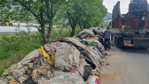 폐부직포 수거 활동 /사진제공=성주군