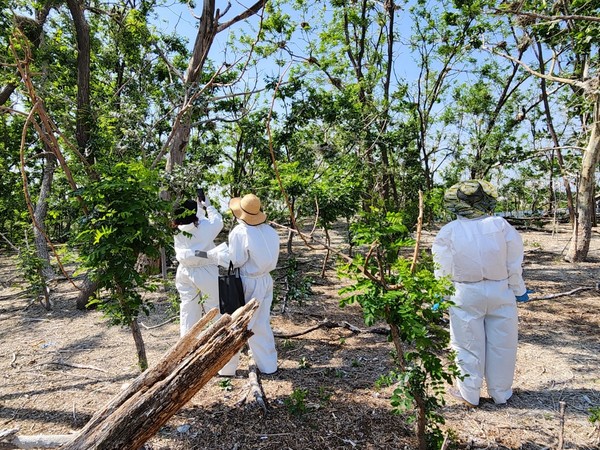 철새도래지 축만제 인공섬 생태환경 조사 /사진제공=수원시