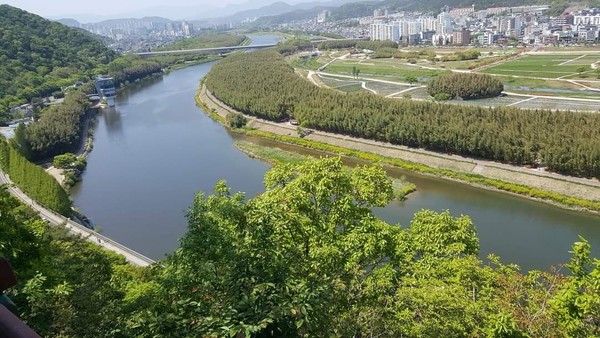 울산 태화강  /사진제공=울산시
