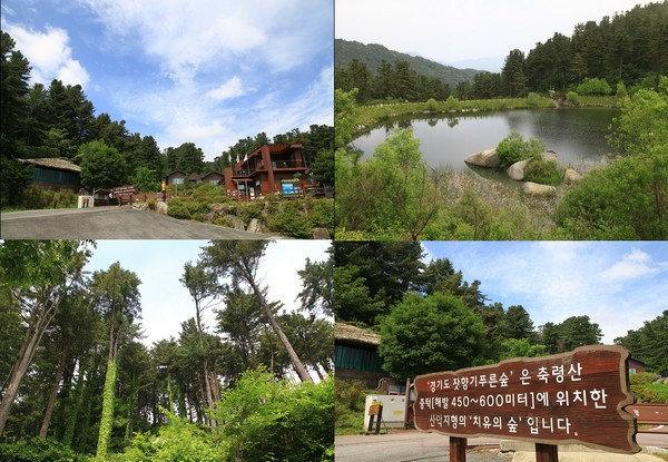 가족이 함께하는 치유의 숲 '잣향기푸른숲' /사진제공=경기관광공사