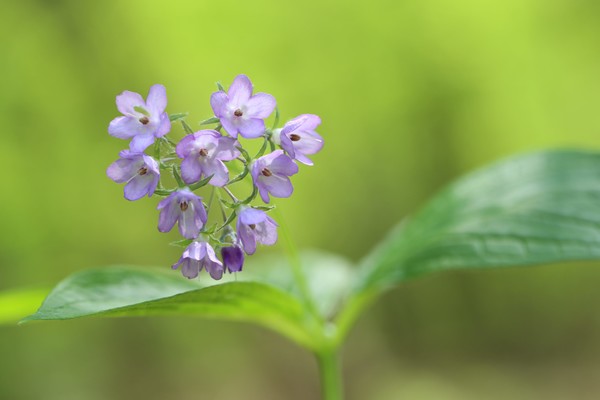정덕현 열개의 우주 /사진제공=
