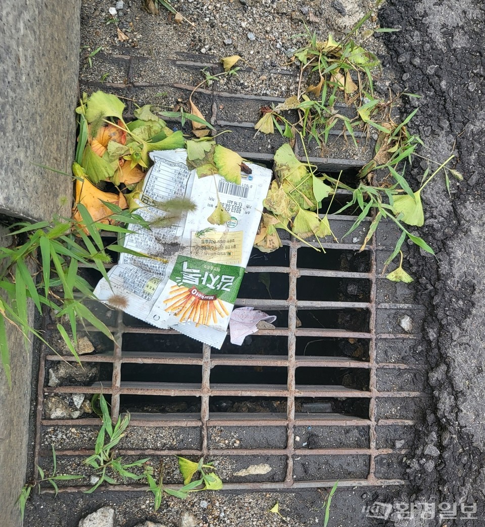 경기도 안양시 안양로 일대에 위치한 빗물받이에 과자 봉지, 종이컵이 버려진 모습 /사진=길민석 객원기자
