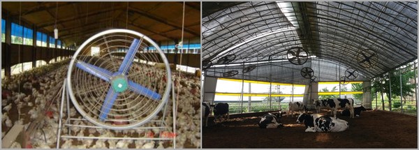 폭염대비 축산 농가 피해 예방 시설 /사진제공=경기도