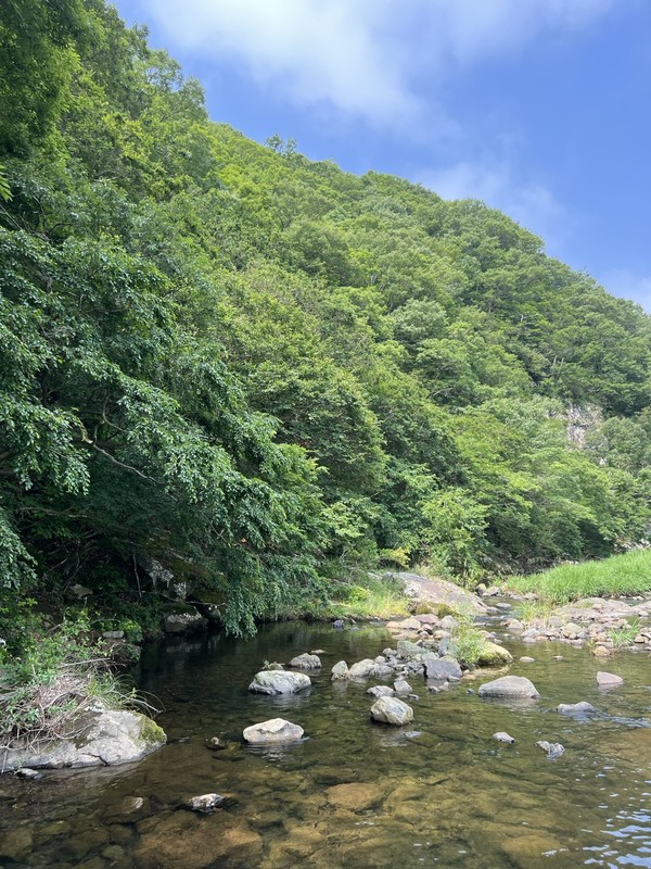 조사한 지점 사진(서식지 보호를 위해 정확한 좌표 및 장소 비공개) /사진=문준혁 학생기자
