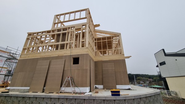 구조용 파티클보드 현장적용 /사진=국립산림과학원