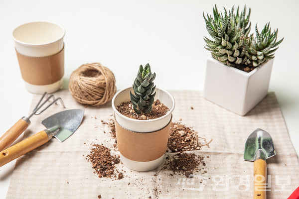 유리, 종이, 금속 포장재는 플라스틱보다 재활용이 잘 된다. 플라스틱 포장재 선택 시 재활용 등급제 중 최우수 및 우수 등급을 고른다.