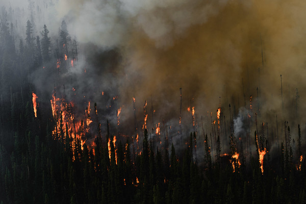 인간 활동으로 극심해진 기후변화가 전 세계 산불 사태들의 근본적인 원인이라는 지적이 제기됐다. /사진제공=British Columbia Wildfire Service
