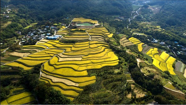 사포마을 다랑이논 /자료제공=한국트러스트