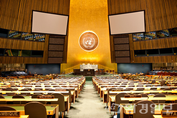 UN은 모든 UN회의국이 참여한 정부간협상위원회의를 통해 법적 구속력이 있는 결의안을 추진하고 있으며, 마지막 5차 회의는 오는 2024년 10월에 대한민국에서 열릴 예정이다.