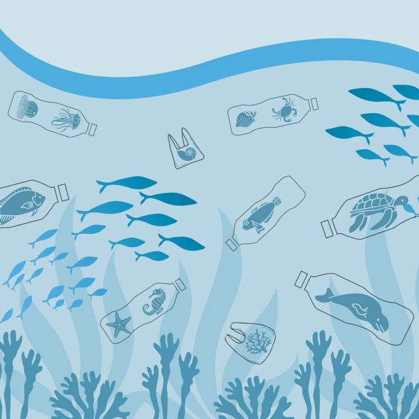바다에 떠다니는 플라스틱은 해양생물을 위협한다.