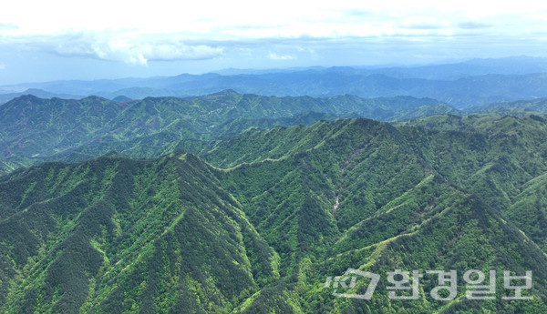 일제강점기와 한국전쟁을 거치며 헐벗었던 산이 이제는 국토의 63%를 차지하게 됐다. 임목축적은 국토녹화 계획 추진 50년 만에 29배 성장했다. /사진제공=산림청