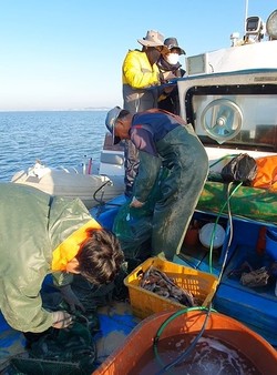 불법어업 단속추진 /사진제공=경기도