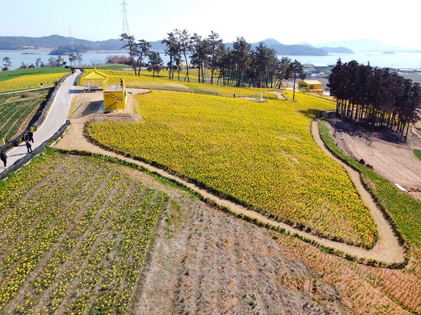 신안군 지도읍 선도마을이 전라남도 탄소중립 실천 선도마을 조성사업에 선정됐다. / 사진제공=신안군