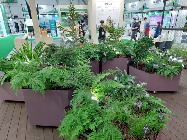 실내에서 기를 수 있는 고사리류, 상록관목류 식재 전시 /사진제공=국립수목원
