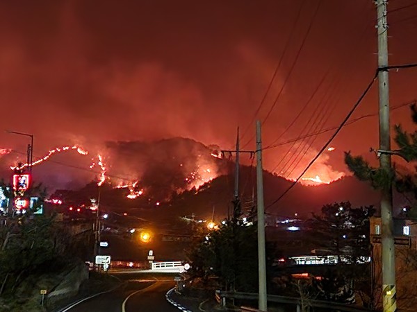 울진삼척 산불 /사진제공=녹색연합