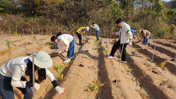탄소저감숲 조성은 강원도 춘천시 서면 안보리 일대에서 진행됐다. /사진제공=환경보전협회
