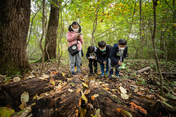 우리 산림생물 바로알기 탐험대 활동 /사진제공=국립수목원