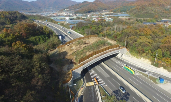 추풍령 생태통로 /사진=한국도로공사