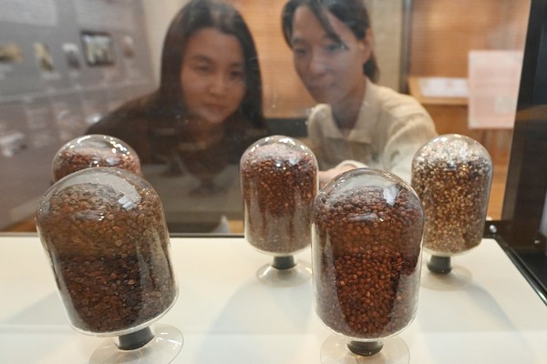 수원 구 부국원에 상설 전시되고 있는 종자 전시물 /제공=수원시