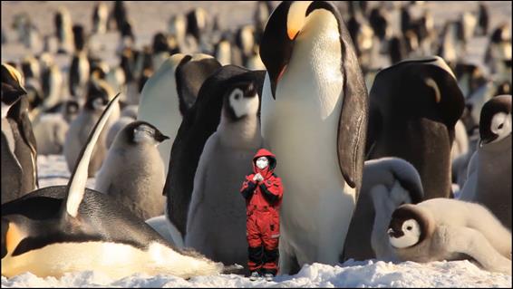 제8회 북극협력주간 부대행사 극지 영상 재현 /사진제공=해양수산부