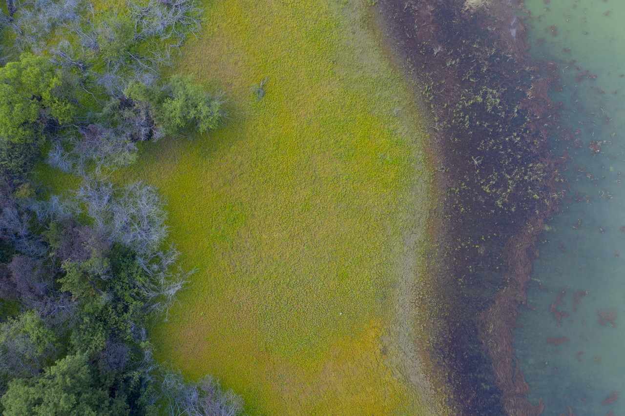 남조류의 과다 성장으로 물색이 짙은 녹색으로 변하는 녹조현상 /사진=환경일보DB