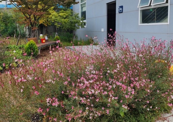 율천동 성균관대역 환승주차장 통행로에 조성된 ‘응원 쉼표 정원’ /사진제공=수원시