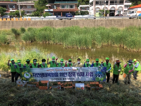 통영 광도천에서 진행된 자연생태복원 사업  /사진제공=통영시