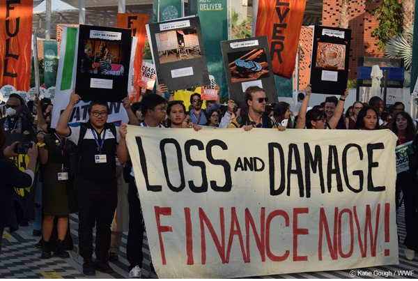 COP28 기간 아랍에미리트 두바이에서 열린 시위 참여자들 /사진제공=세계자연기금