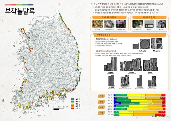 전국 하구 수생태계 건강성 지도 /자료제공=국립환경과학원