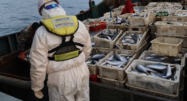 불법 조업 중국 어선 승선 조사 /사진제공=해양수산부