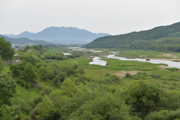 이길리 습지(하천습지) /사진제공=환경부