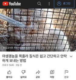 2020년 12월부터 고양이 학대 영상을 게시해 온 유튜브 채널이 폐쇄되고 운영자 계정이 해지됐다. /자료제공=동물권행동 카라