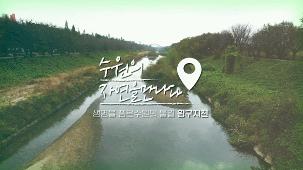 ‘스마트 환경교육 스팟’ 영상 갈무리 /제공=수원시