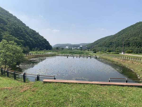 반딧불이 서식처로 조성되는 처인구 호동 길엄습지 /사진제공=용인시