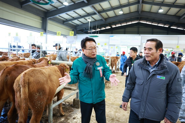 전가경매 가축시장 첫 개장식에 참석한 손병복 군수 /사진제공=울진군
