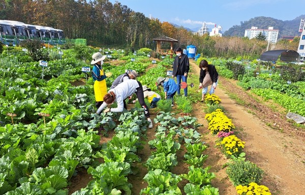 공세동 시민농장 /사진제공=용인시
