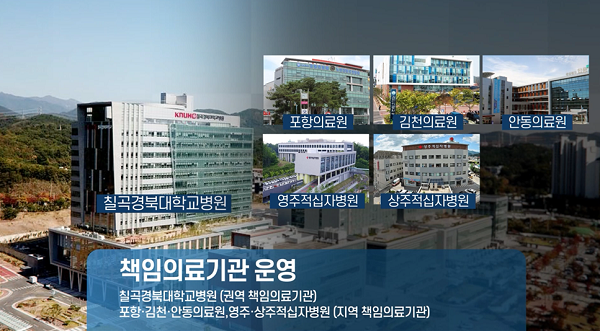 책임의료기관 홍보물  /사진제공=경상북도
