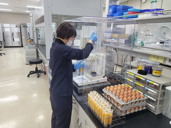 계란시료 전처리 작업 /사진제공=경기도