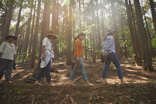 치유의 숲에서 산림치유프로그램을 즐기고 있는 모습 /사진제공=한국산림복지진흥원