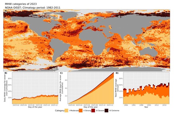 a) 2023년(레퍼런스 1982~2011) 동안 각 픽셀에서 가장 높은 해양 폭염 카테고리를 나타내는 세계지도. 회색: 1년 내내 픽셀에서 해양 폭염이 발생하지 않았음을 나타냄. b) 해양 폭염을 겪는 해수면 비율(비누적). c) 평균 해양 폭염일수(누적). d) 1982~현재까지 연간 해양 폭염을 겪는 해수면 비율 /자료제공=기상청