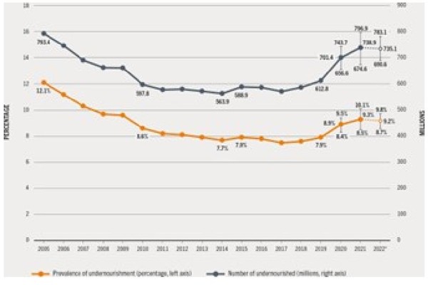 2005년 이후 전 세계 영양결핍 발병률(%) 및 영양결핍자 수(백만명) /자료제공=기상청