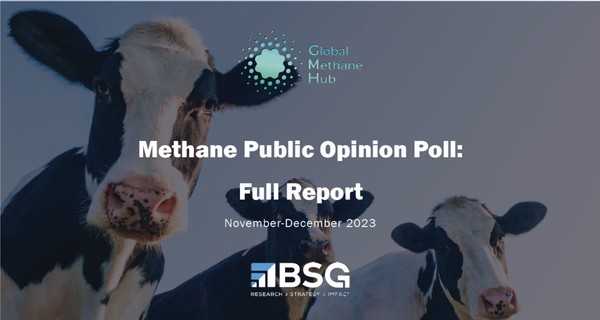 글로벌 메탄 허브(Global Methane Hub)는 한국을 비롯해 호주, 브라질, 캐나다, 칠레, 독일, 인도, 이탈리아 등 6개 대륙, 17개 국가에서 만 18세 이상 시민들을 대상으로 조사결과를 발표했다. /자료제공=기후솔루션