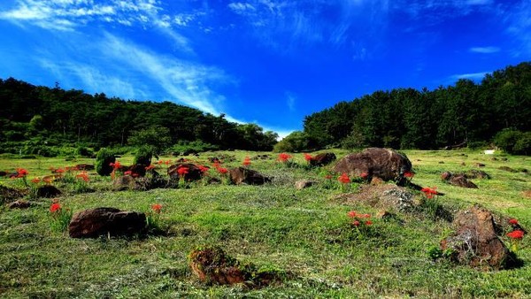 전북 고창 고인돌 유적 /사진제공=환경부