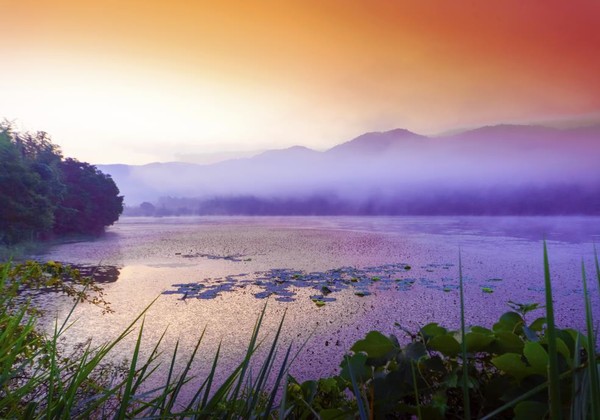 고창 운곡습지 /사진제공=환경부