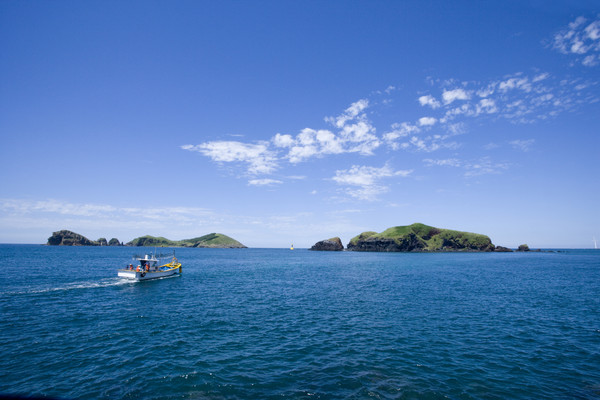한국산림경영인협회, 국립강릉원주대, 환경일보가 주최·주관하는 '제2차 기후위기 대응, 기상·해양·산림 분야 융합 세미나'가 ‘산은 바다를 그리고, 바다는 산을 색 입힌다’를 주제로 강원도 평창군 이효석 문학관에서 4월19일 개최된다. /자료=환경일보DB